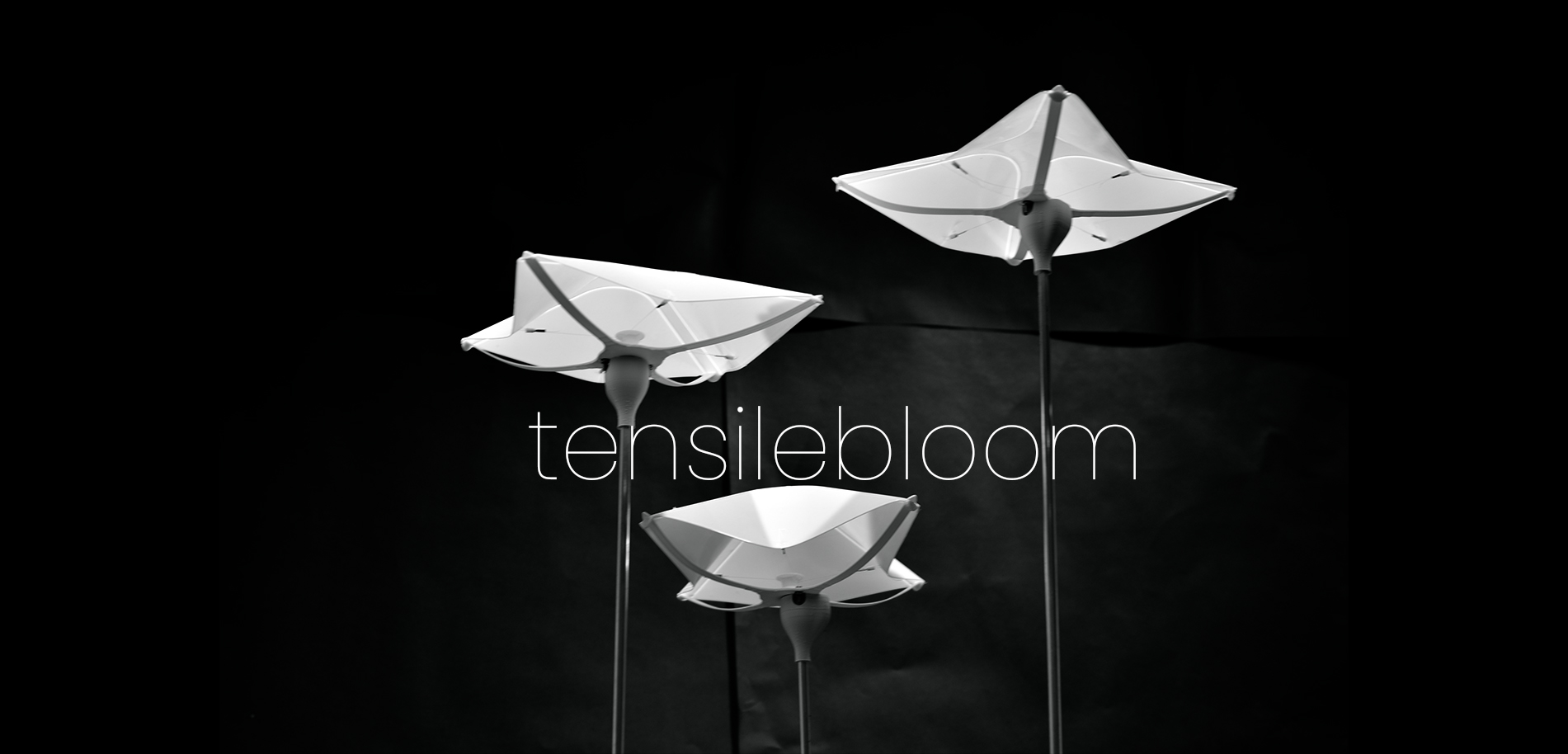 TensileBloom Project Main Image